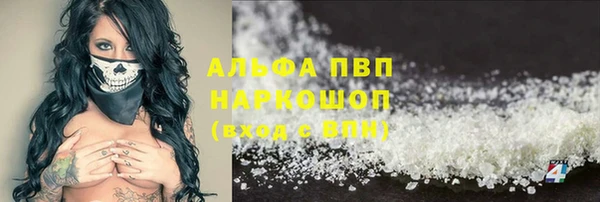 индика Алексин