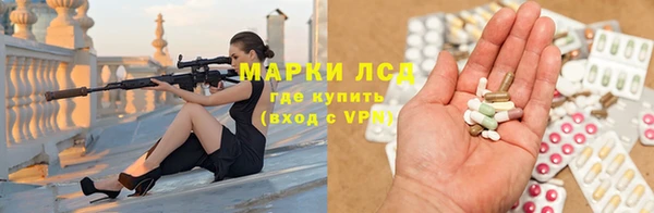 хмурый Алзамай