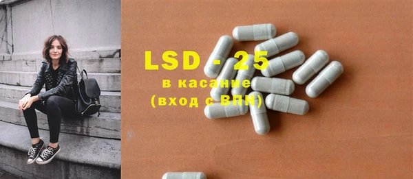 хмурый Алзамай