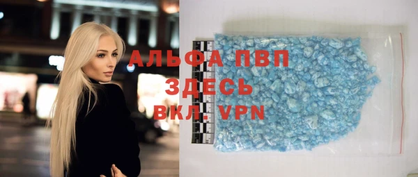 индика Алексин
