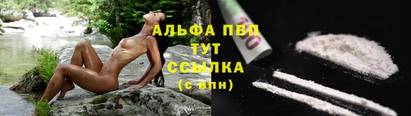 индика Алексин