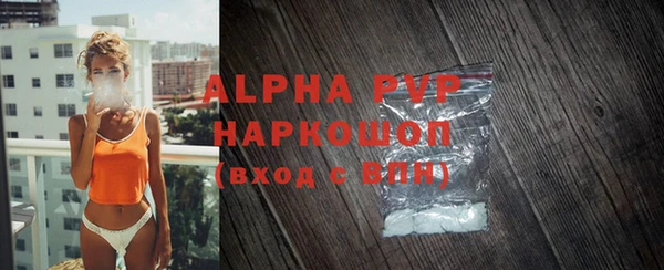 индика Алексин