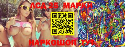 спиды Камышлов