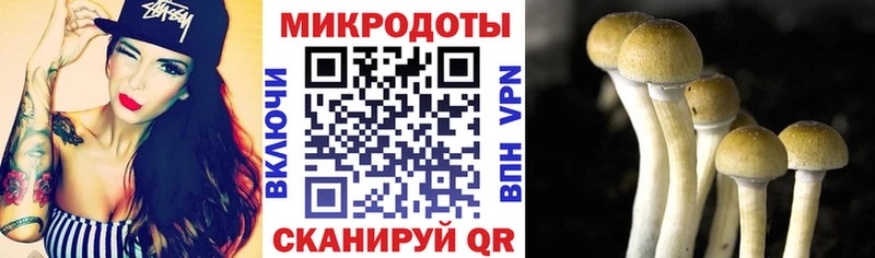 купить закладку  Тверь  Псилоцибиновые грибы мухоморы 