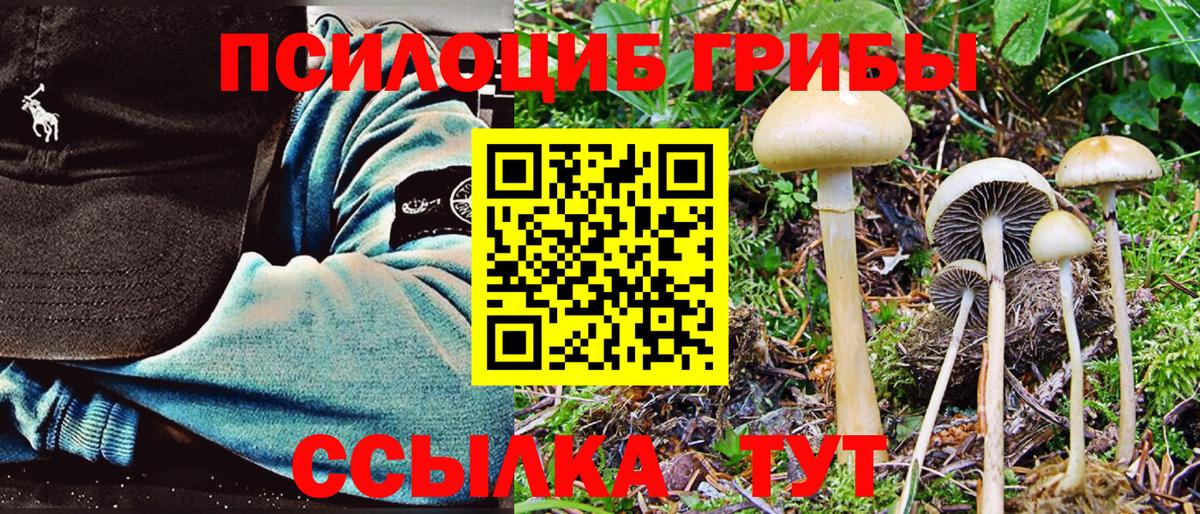 Тверь  Псилоцибиновые грибы Cubensis  Псилоцибиновые грибы Psilocybe  Вход с VPN 